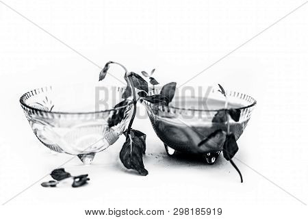 Best Home Remedy Or Treatment To Reduce Rashes Isolated On White Consisting Of Mint And Water In A G