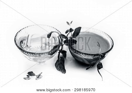 Best Home Remedy Or Treatment To Reduce Rashes Isolated On White Consisting Of Mint And Water In A G