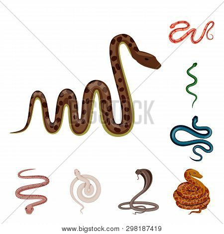 Vector Illustration Of Poison And Evil Icon. Collection Of Poison And Bite Stock Vector Illustration