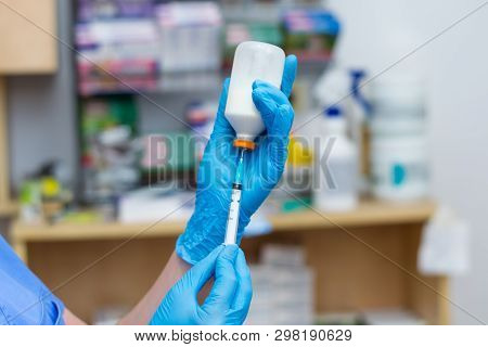 The Veterinarian Women With Blue Gloves Extract A White Drug With A Syringe