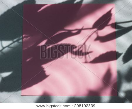Pink Empty Card, Sheet For Writing. Layout For Adding Labels. Natural Hard Light, Deep Shadows. Hard