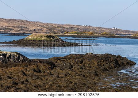 Seaweeds, Farms And Vegetation Around Bay