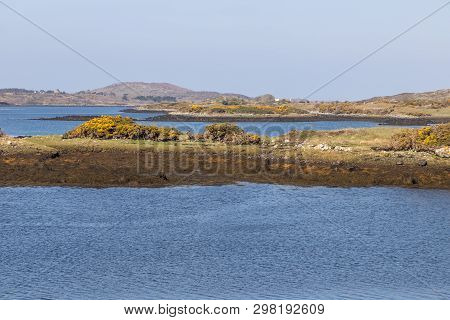 Flowers And Vegetation Around Bay