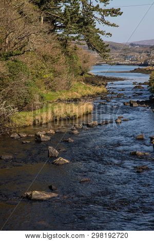 Stream Around Bay With Vegetation