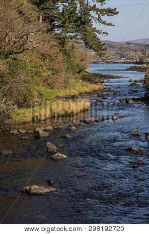 Stream Around Bay With Vegetation