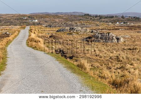 Farm Road Around Bog With Vegetation And Rocks