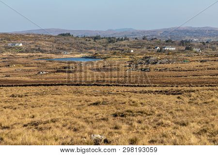 Farms With Bog, Vegetation And Lake