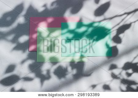 Green, Pink Empty Card, Sheet For Writing. Layout For Adding Labels. Natural Hard Light, Deep Shadow