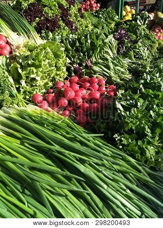 Vegetable Layout On The Market Counter: Green Onions, Red Radishes, Lettuce, Curly Parsley, Purple B
