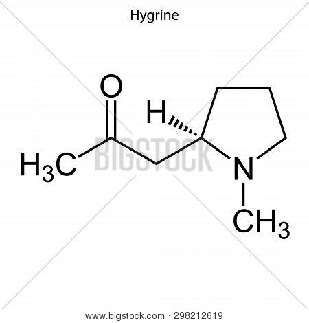 Skeletal Formula Of Hygrine. Chemical Molecule . Template For Your Design . Template For Your Design