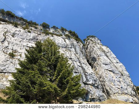 Füessler Cliff Or Füessler-felsen (fueessler-felsen Or Fuessler-felsen) On The Ebenalp Alpine Hill A