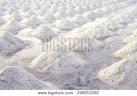 Brine Salt Farm At Samut Sakhon, Thailand. Organic Sea Salt. Evaporation And Crystallization Of Sea 