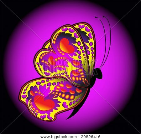 Babutterfly