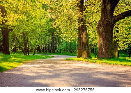 Spring Evening Park. Park At Sunset. Evening Sun Russian Park. Park In The Green. Urban Park. Evenin