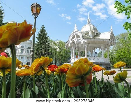 Sumy, Ukraine - April 28, 2019: Altanka Is A Symbol Of Sumy Against Of Yellow Terry Tulips In A Spri