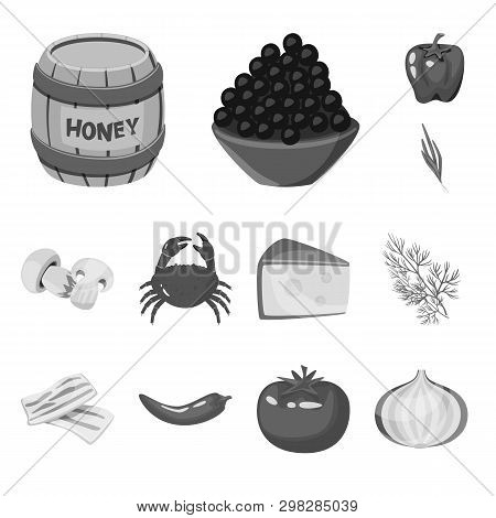 Vector Illustration Of Spices  And Aroma Icon. Set Of Spices  And Product Vector Icon For Stock.