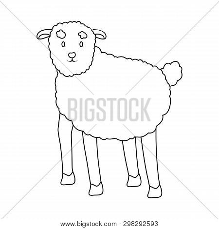 Vector Design Of Sheep And Anima Sign. Set Of Sheep And Lamb Stock Vector Illustration.