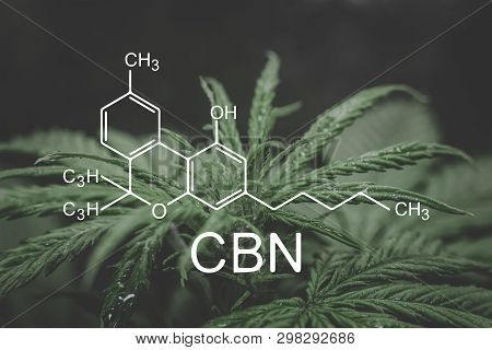 Cbn Formula, Cannabinoid . Growing Marijuana, Despancery Business. Cannabinoids And Health, Medical 