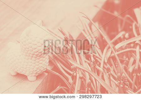 Pink Small Llama Squishy Toy On Wooden Board With Blue Blooming Muscari Armeniacum Grape Hyacinth Fl
