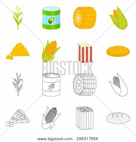 Vector Illustration Of Cornfield And Vegetable Symbol. Collection Of Cornfield And Vegetarian Stock 