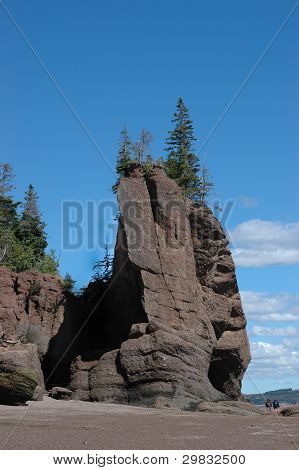 Hopewell Rocks