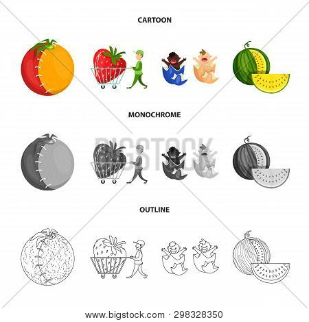 Vector Illustration Of Test And Synthetic Icon. Collection Of Test And Laboratory Stock Symbol For W
