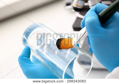 Male Hand In Blu Protective Gloves Hold Brush. Criminal Investigation Concept