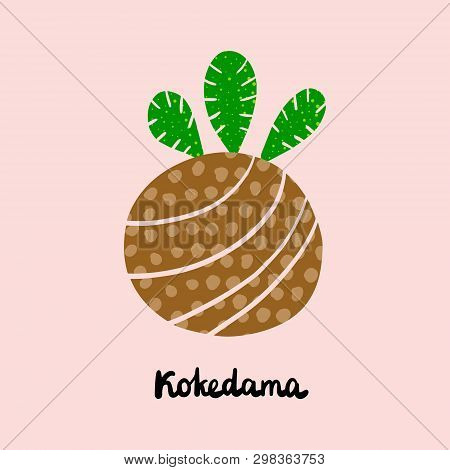 Kokedama Hand Drawn Illustration With Lettering. Traditional Japanese Ball Of Soil Covered Moss