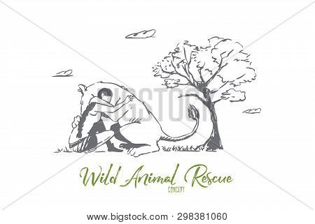 Animal, Lion, Wild, Woman, Save Concept. Hand Drawn Wild Lion Hugs With Woman. Wild Animal Rescue Co