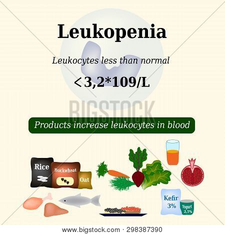 Leukopenia. Reduced Number Of Leukocytes In The Blood. Products Increase White Blood Cells. Vector I