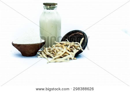 Popular Indian & Asian Ayurvedic Herb Isolated On White In A Clay Bowl I.e. Musli Or Safed Musli Or