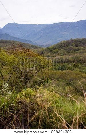 Copper Canyon - Mexico