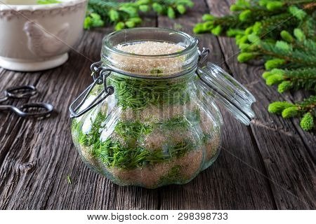 A Jar Filled With Young Spruce Tips And Cane Sugar, To Prepare Homemade Syrup Against Cough