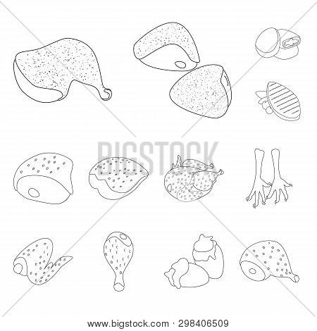 Isolated Object Of Food And Grilled Icon. Collection Of Food And Bird  Vector Icon For Stock.