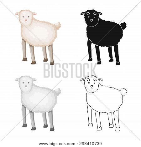 Vector Design Of Sheep And Anima Sign. Collection Of Sheep And Lamb Stock Symbol For Web.