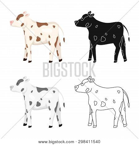 Vector Design Of Cow And Heifer Symbol. Set Of Cow And Milk Vector Icon For Stock.