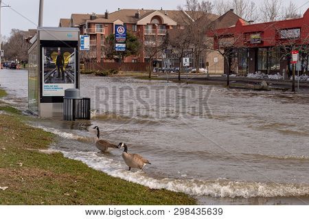 Pierrefonds-roxboro, Quebec, Canada - 29 April 2019: Waves In A Submerged Street During Spring Flood