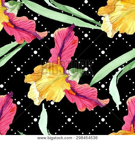 Red Bold Encounter Iris Floral Botanical Flowers. Watercolor Background Illustration Set. Seamless B