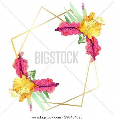 Red Bold Encounter Iris Floral Botanical Flowers. Watercolor Background Illustration Set. Frame Bord