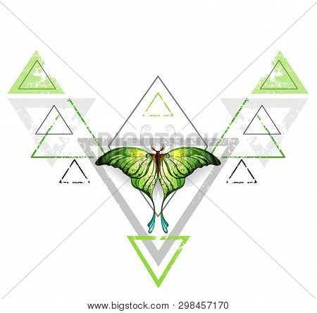 Geometric, Symmetrical Pattern With Gray And Green Triangle, Decorated With Green Exotic Butterfly O