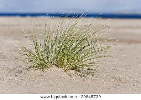 Enkelt Hassock i Sand