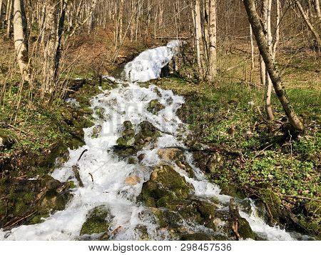 Water Supply Flowing Source Tschuder With Waterfall And Karst Spring Or Karstquelle Tschuder, Schwen