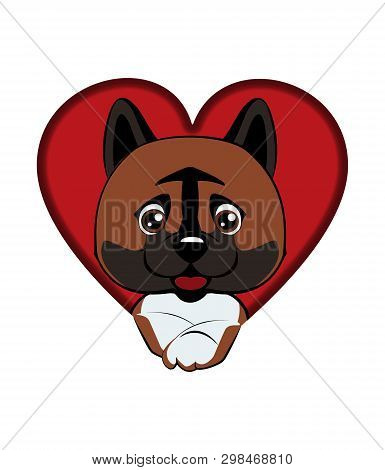 Dog American Akita. Dog Came Out Of A Hole