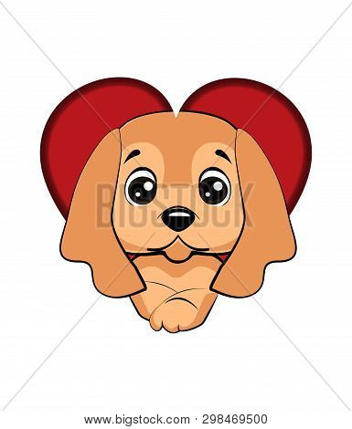 English Cocker Spaniel Dog. Dog Came Out Of A Hole