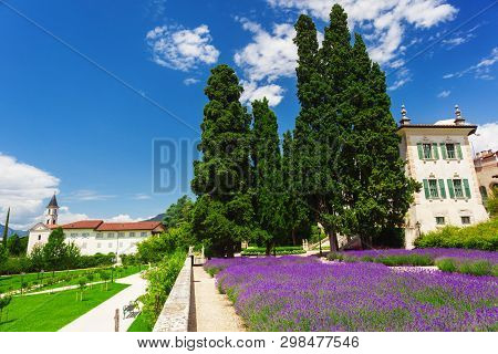 Alpine Village With Lavender Field