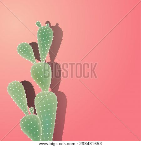 Cactus With Shadow On The Coral Color Wall. Cactus Are Succulents Can Live In Extremely Dry And Hot 