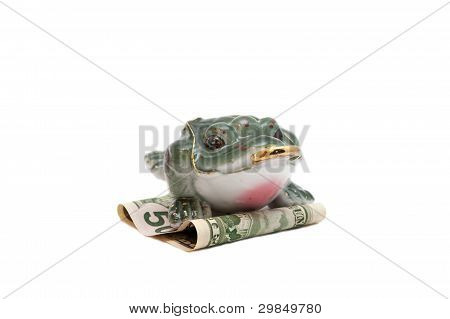 Sammakko istuu 50 dollarin seteli