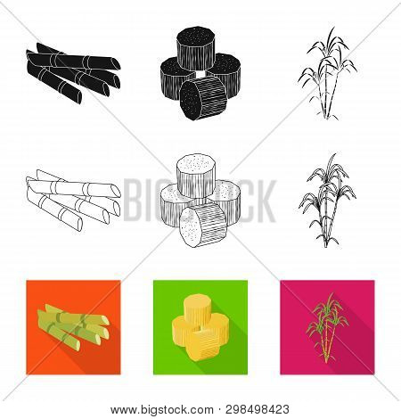Vector Illustration Of Farm And Agriculture  Logo. Collection Of Farm And Technology Vector Icon For