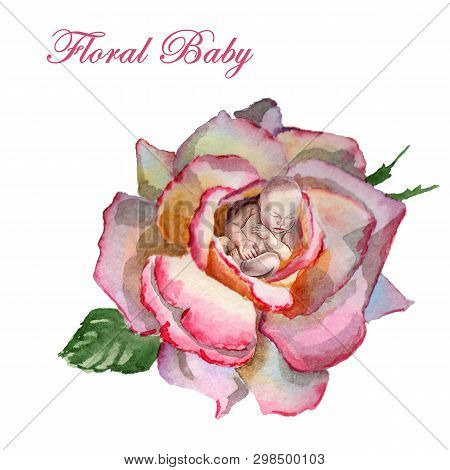 Watercolor Newborn Sleeping Baby In The Flower Rosa