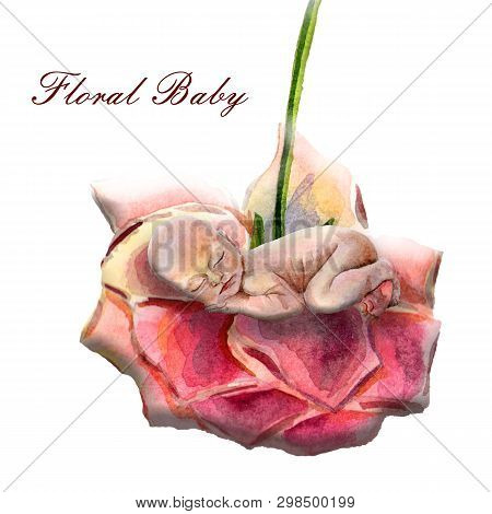Watercolor Newborn Sleeping Baby With Flower Rosa